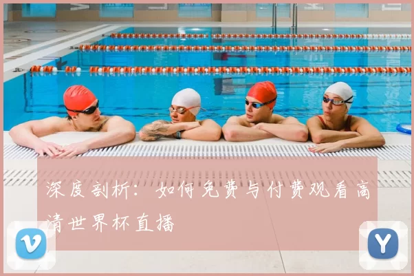 深度剖析：如何免费与付费观看高清世界杯直播