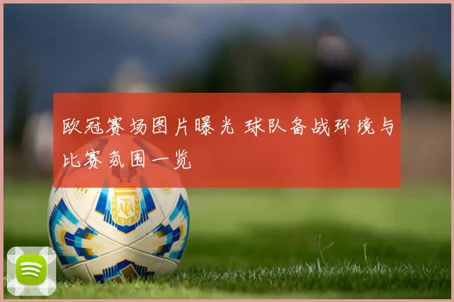 欧冠赛场图片曝光 球队备战环境与比赛氛围一览