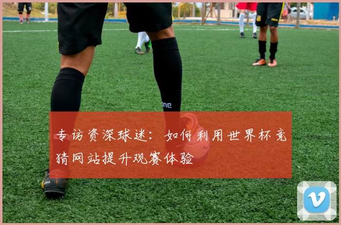 专访资深球迷：如何利用世界杯竞猜网站提升观赛体验