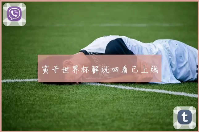 寅子世界杯解说回看已上线