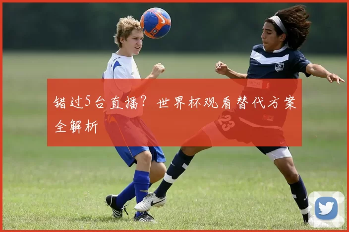 错过5台直播？世界杯观看替代方案全解析