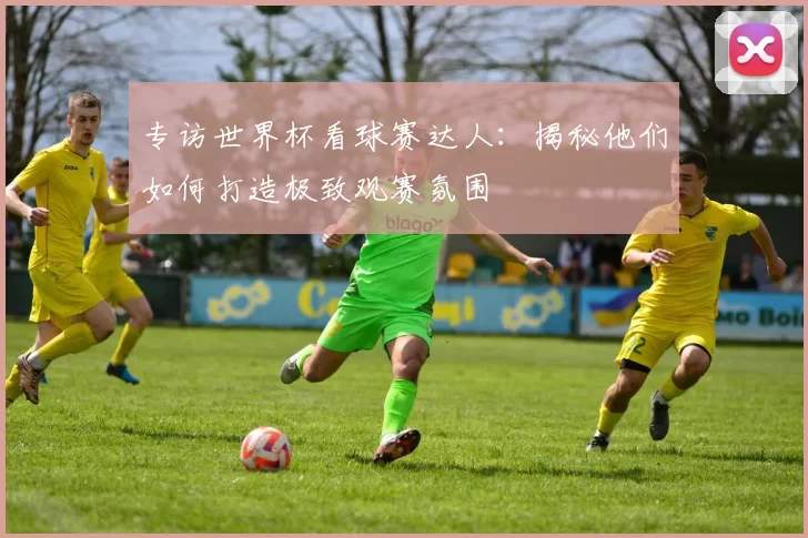 专访世界杯看球赛达人：揭秘他们如何打造极致观赛氛围