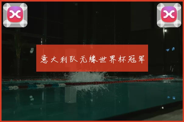 意大利队无缘世界杯冠军