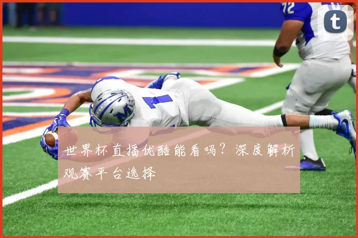 世界杯直播优酷能看吗？深度解析观赛平台选择
