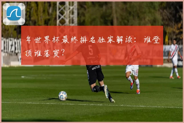 年世界杯最终排名独家解读：谁登顶谁落寞？