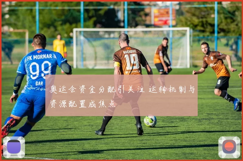 奥运会资金分配引关注 运转机制与资源配置成焦点