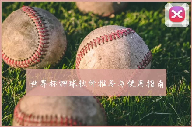 世界杯押球软件推荐与使用指南