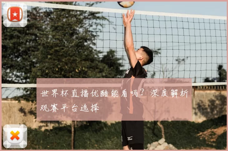 世界杯直播优酷能看吗?深度解析观赛平台选择
