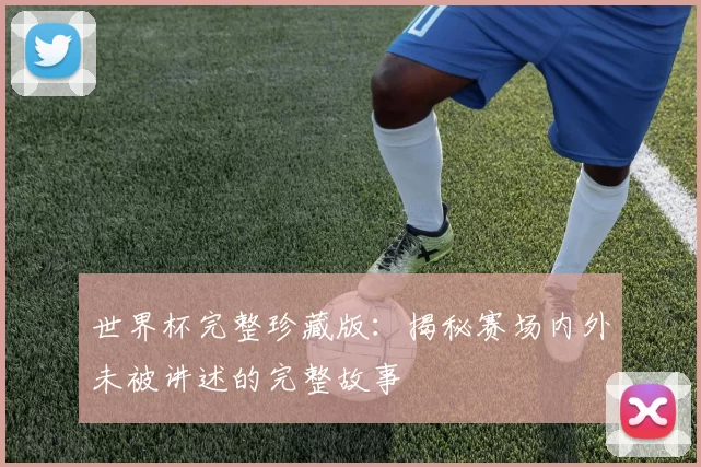 世界杯完整珍藏版：揭秘赛场内外未被讲述的完整故事