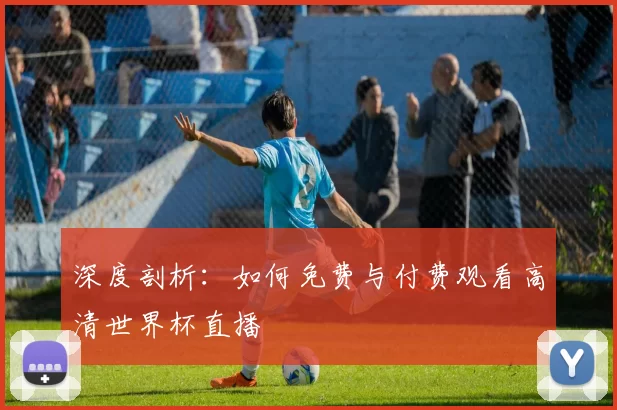 深度剖析：如何免费与付费观看高清世界杯直播