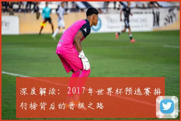 深度解读：2017年世界杯预选赛排行榜背后的晋级之路