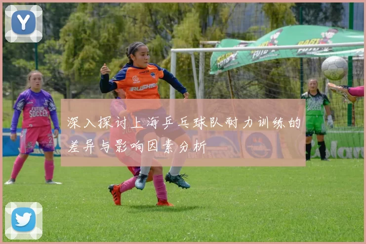 深入探讨上海乒乓球队耐力训练的差异与影响因素分析